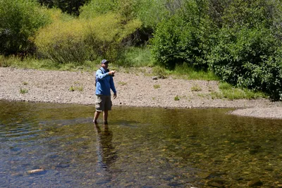 DSC_3641 (Large).JPG